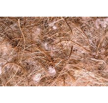 Sisal Fibre Gemengd nestmateriaal voor vogels – natuurlijk en veilig