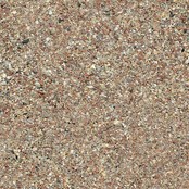 Oester- en Schelpengrit voor vogels | Gezonde spijsvertering & sterke eieren