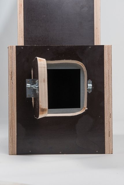 Broedblok Grijze roodstaart van betonplex | Duurzaam & veilig