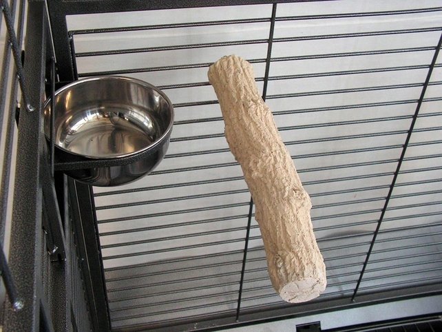 Slijtstok voor papegaaien | Gezonde snavel & nagelverzorging