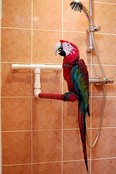 Kunststof Douchestok voor papegaaien | Veilig & comfortabel