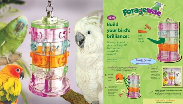 Rings of fortune Rings of fortune