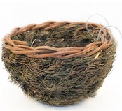 Dennennest Dennennest