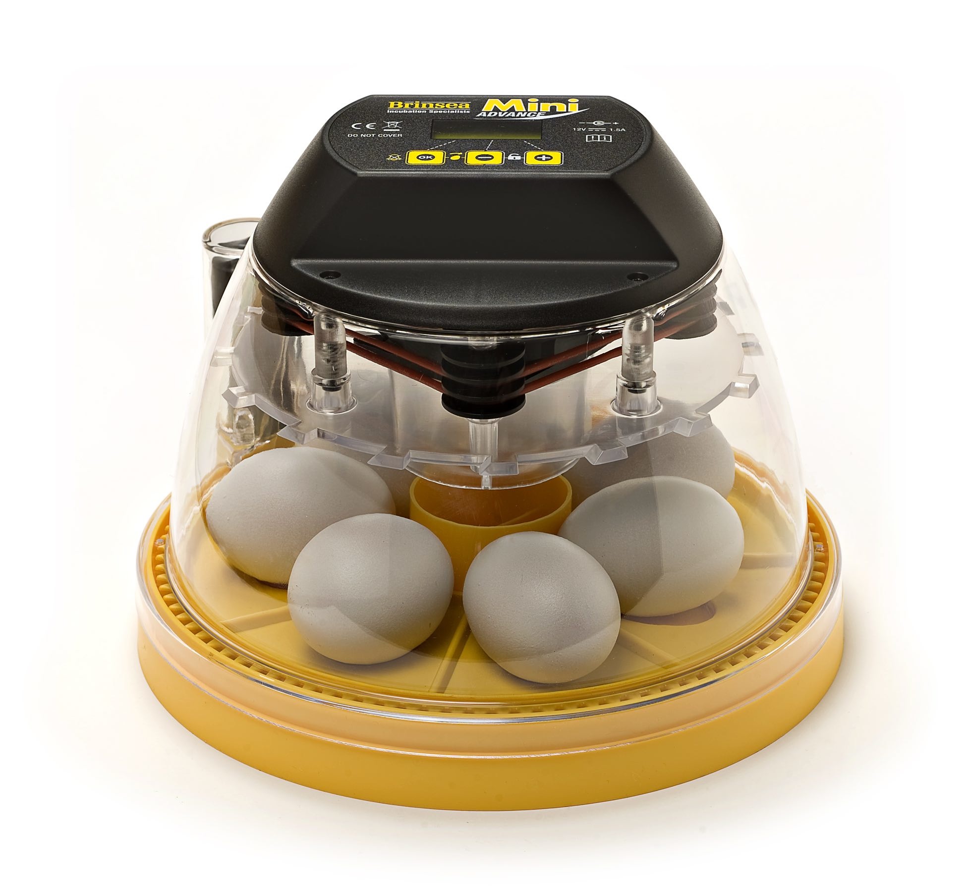 Мини инкубатор купить. Инкубатор Egg incubator 6. Инкубатор Egg incubator. Автоматический инкубатор Brinsea. Инкубатор Brinsea 70 яиц.