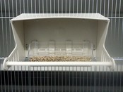 Volière hangbak voor vogelvoer | Stevig & hygiënisch