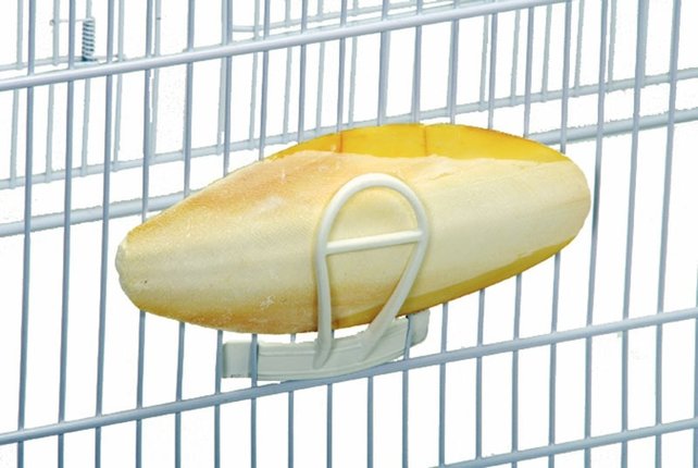 Kunststof sepiaklem kopen | Eenvoudige houder voor sepiaschelpen Kunststof sepiaklem kopen | Eenvoudige houder voor sepiaschelpen