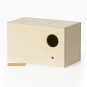 Broedblok voor Engelse grasparkieten | Tips & advies voor succesvolle kweek