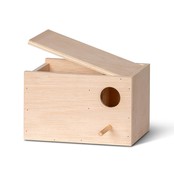 Broedblok voor Forpus kopen? Tips, afmetingen & kweekadvies