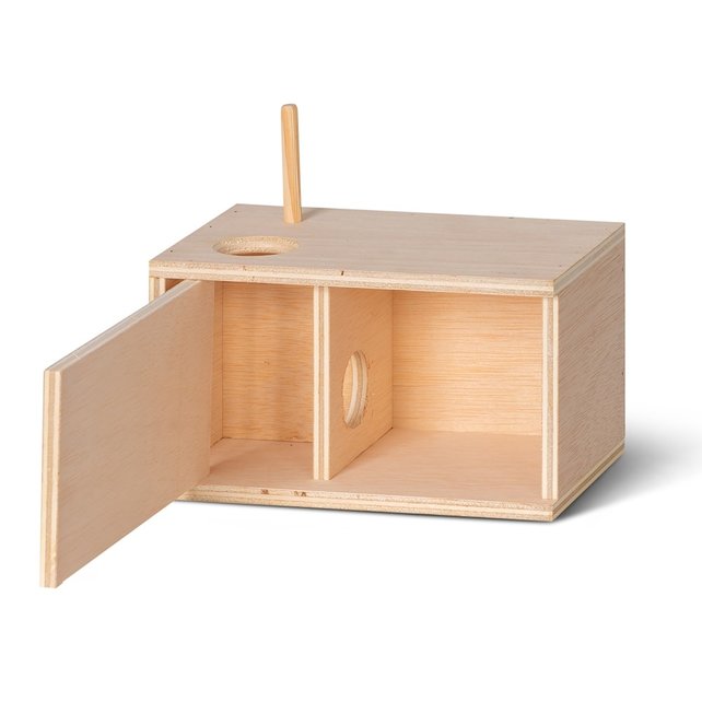 Broedblok voor Forpus kopen? Tips, afmetingen & kweekadvies