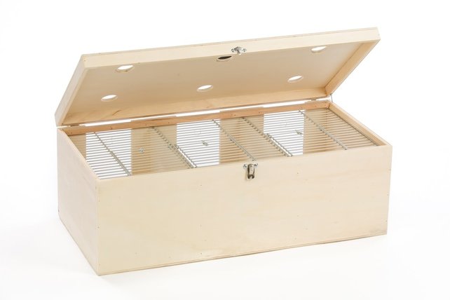 Vervoerskist speciaal grote parkiet, 3-vaks