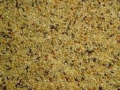 Himbergen Neophemazaad  5 kilo