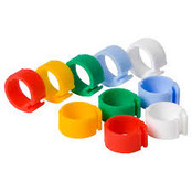 Clickring duif 8 mm Clickring duif 8 mm