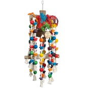 Rainforest Rainforest