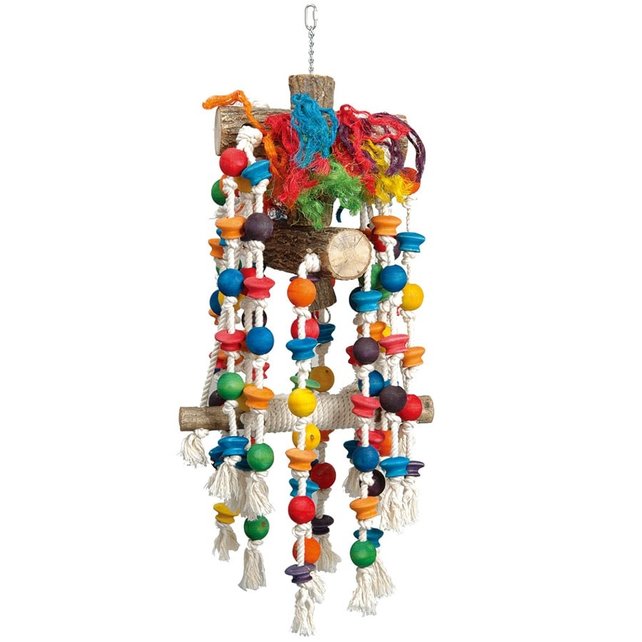 Rainforest Rainforest