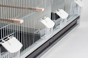 Aluminium broedkooi 100 cm breed 2 vakken met tropen nestlade Aluminium broedkooi 100 cm breed 2 vakken met tropen nestlade