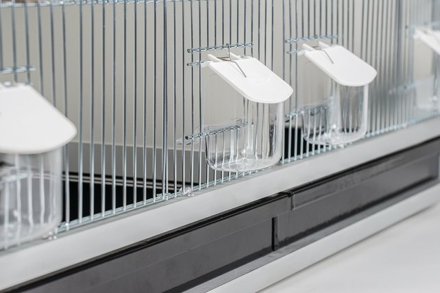 Aluminium broedkooi 100 cm breed 2 vakken met tropen nestlade Aluminium broedkooi 100 cm breed 2 vakken met tropen nestlade