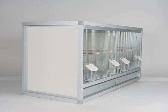 Aluminium broedkooi 100 cm breed 2 vakken met tropen nestlade Aluminium broedkooi 100 cm breed 2 vakken met tropen nestlade