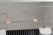 Aluminium broedkooi 100 cm breed 2 vakken met tropen nestlade Aluminium broedkooi 100 cm breed 2 vakken met tropen nestlade
