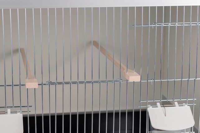 Aluminium broedkooi 120 cm breed 2 vakken met gouldamadine nestlades