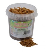 Meelwormen Meelwormen