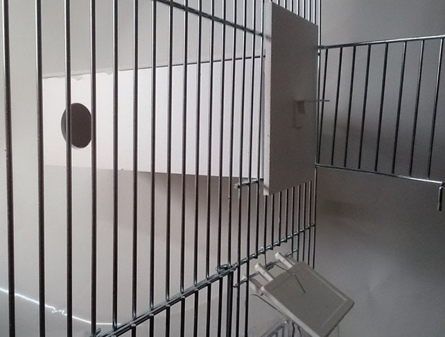 Kunststof tropen nestkast Kunststof tropen nestkast