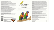 Aves lorinectar Aves lorinectar