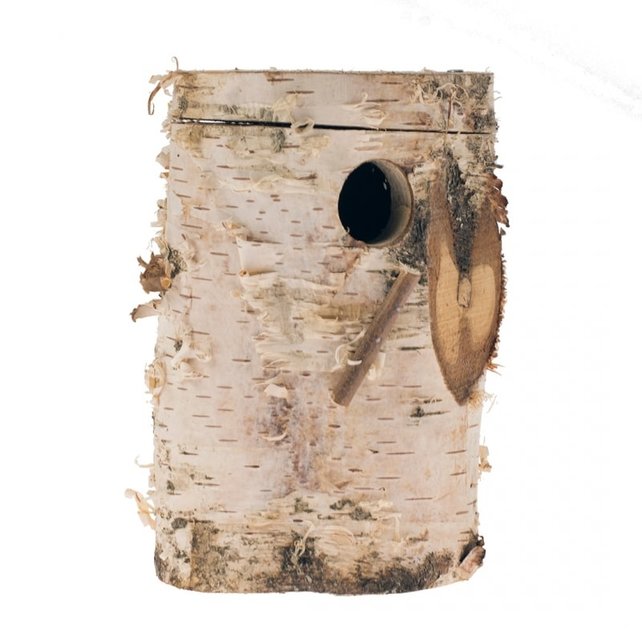 Berkenblok exoten Berkenblok exoten