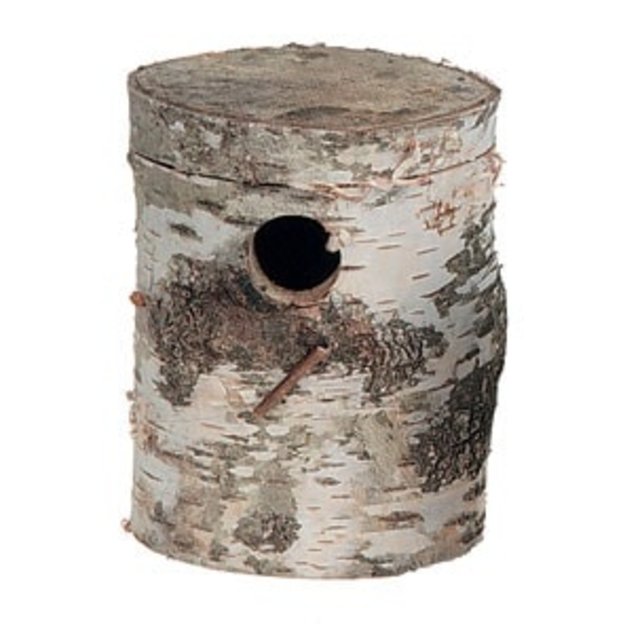 Berkenblok grote parkiet (grasparkiet)