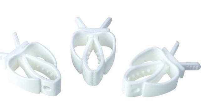 Klem voor sepia of trosgierst voor vogels | Stevig en gebruiksvriendelijk Klem voor sepia of trosgierst voor vogels | Stevig en gebruiksvriendelijk