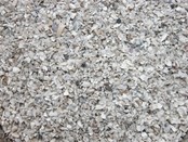 Oestergrit Vogel Oyta 1 Oestergrit Vogel Oyta 1