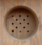 Nestkast Grote Bonte Specht