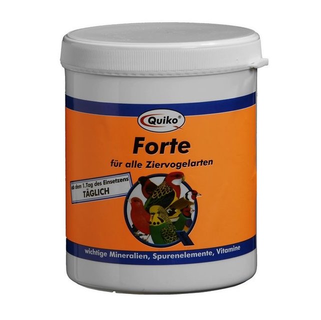 Quiko Forte Quiko Forte