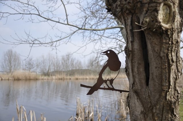 Vogelsilhouet ekster Vogelsilhouet ekster