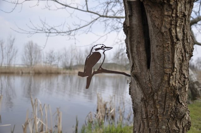 Vogelsilhouet kookaburra Vogelsilhouet kookaburra