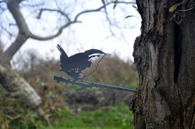 Vogelsilhouet winterkoning