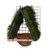 Beschut nest voor de goudvink / groenling Beschut nest voor de goudvink / groenling