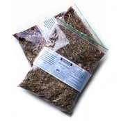 Nestkruiden Koudijs Nestkruiden Koudijs