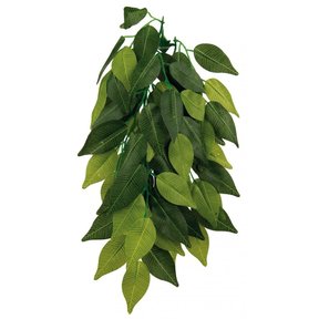 Kunstplant Ficus 30 cm