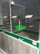 Badhuis groot met groene onderkant