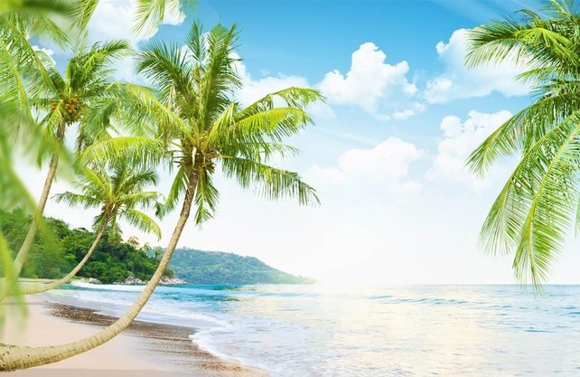 Kunststof broedkooi 2 delig met fotoprint