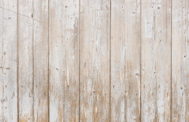 Kunststof broedkooi 2 delig met fotoprint