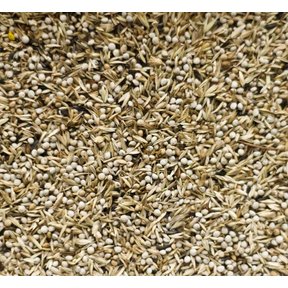 Deli Nature 98 - Amerikaanse Sijsjes