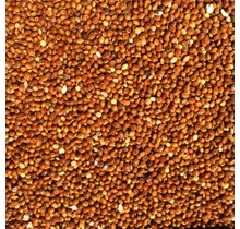 Vogelzaad millet rood – voeding voor vogels