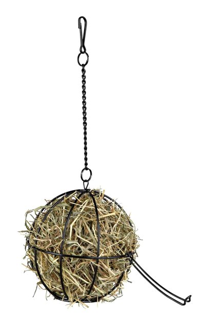 Voerruif / nestmateriaalruif Voerruif / nestmateriaalruif