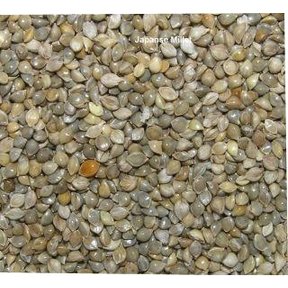 Japanse Millet 1 kilo