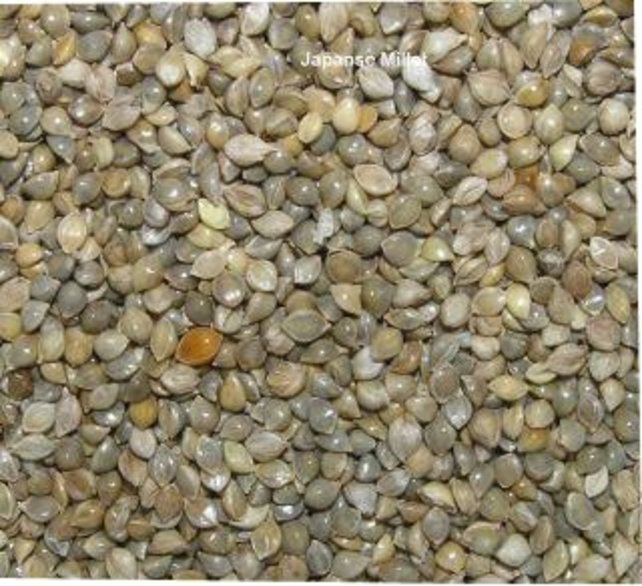 Japanse Millet 1 kilo