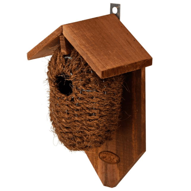 Nestbuidel kokos Nestbuidel kokos