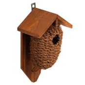 Nestbuidel kokos Nestbuidel kokos