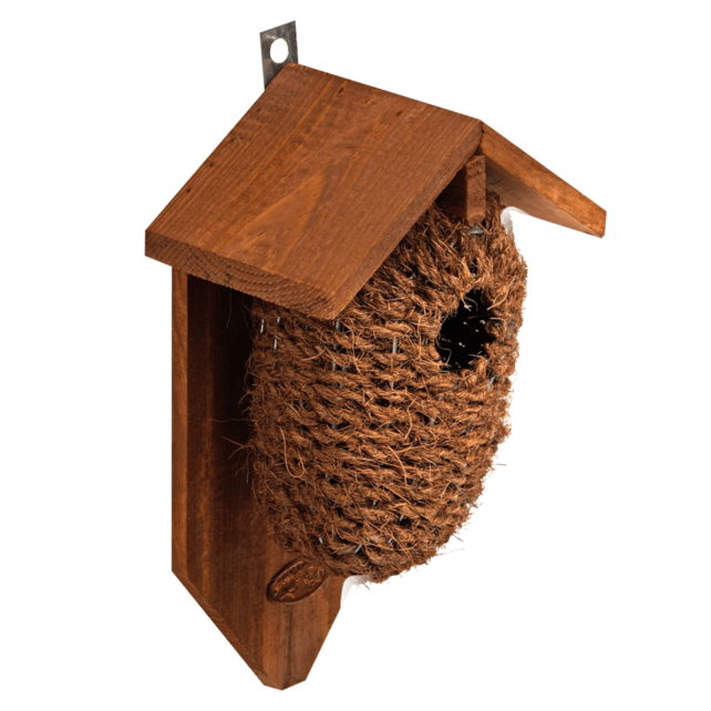 Nestbuidel kokos Nestbuidel kokos