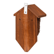 Nestbuidel kokos Nestbuidel kokos